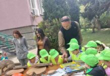 Държавно горско стопанство