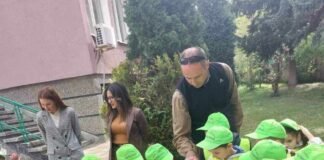 Държавно горско стопанство