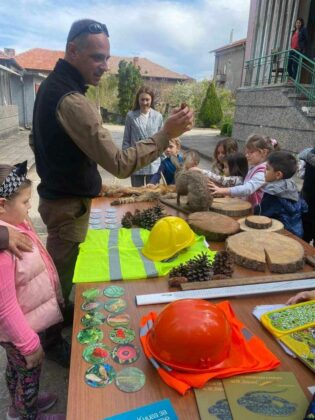 Държавно горско стопанство