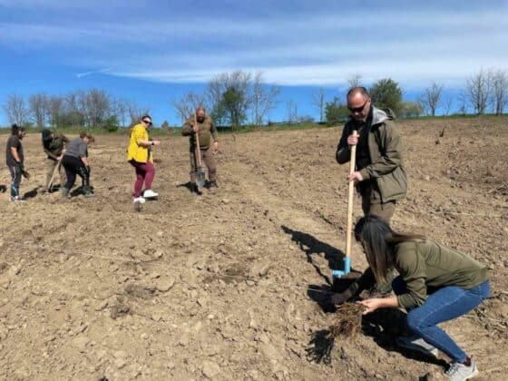 Държавно горско стопанство