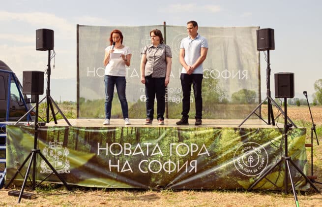 Залесяване