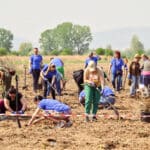 Залесяване