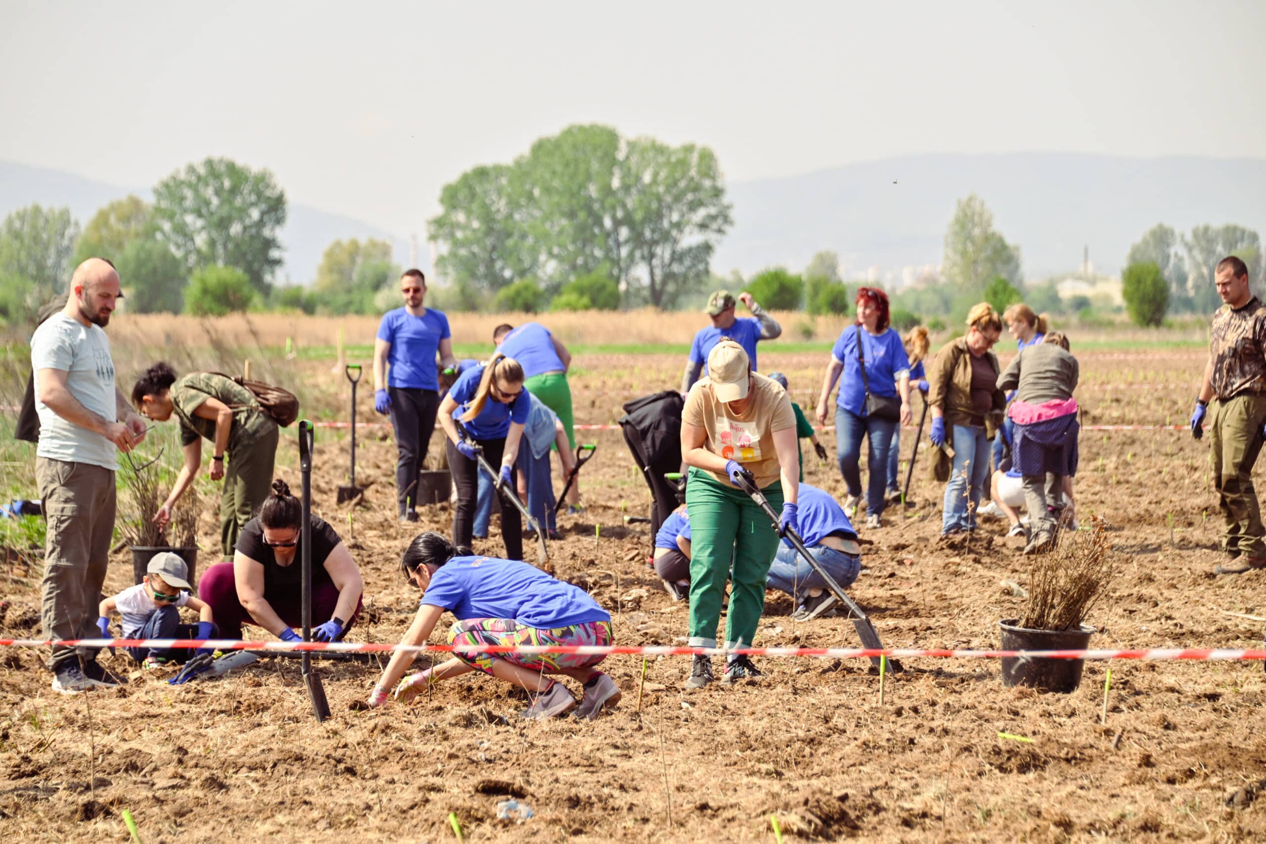 Общо 120 доброволци засадиха 1000 фиданки дъб в рамките на