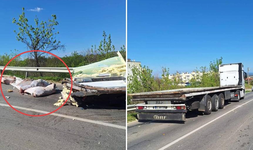 Тежкотоварен автомобил разсипа на платното трупове на животни и затрудни