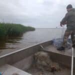 Акция на ИАРА