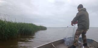 Акция на ИАРА