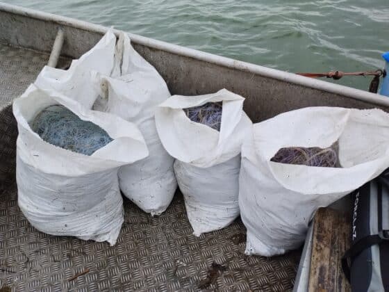 Акция на ИАРА