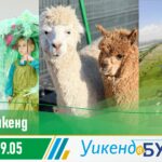 Зелен Бургас