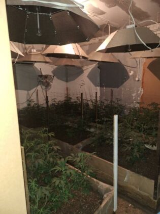 Наркооранжерия