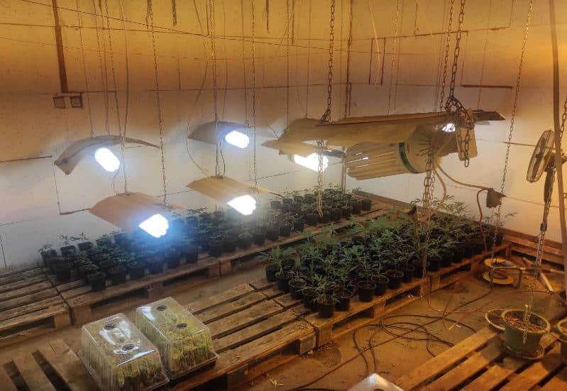 Спецоперация срещу производството и разпространението на наркотици е била проведена