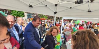 Фестивал на ягодата