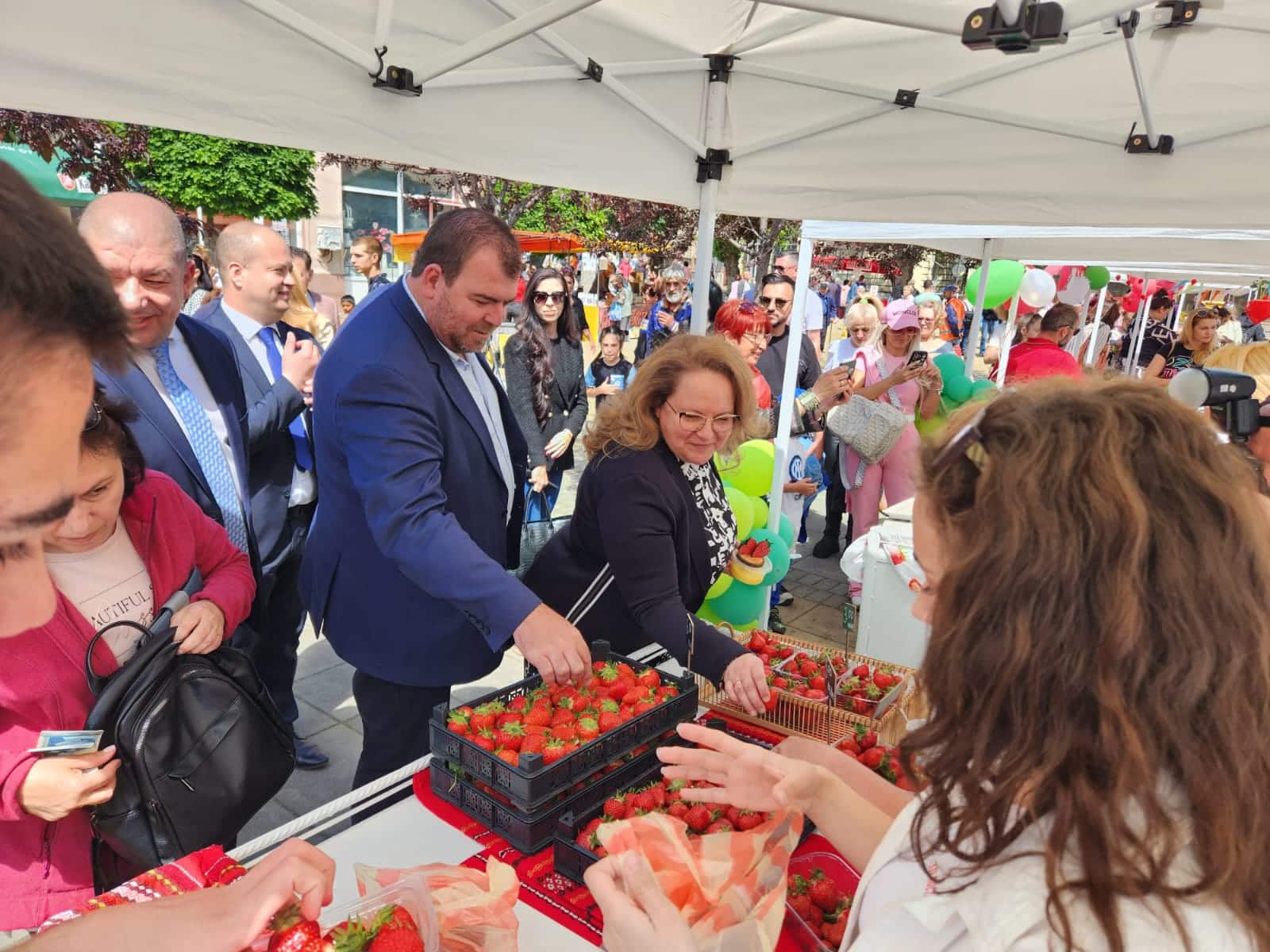 Площите с ягодови насаждения в община Кричим са се увеличили