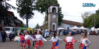 Фестивала на зеленика