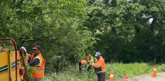 Инспекцията