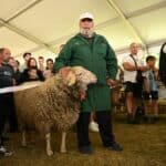 Кочът Слънчо