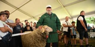 Кочът Слънчо