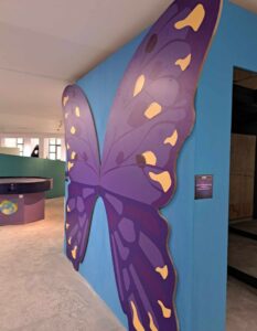 Младежки дом