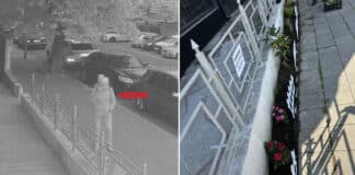 Кражба на цветя