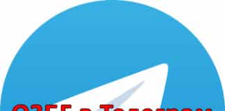 ОЗБГ в Телеграм