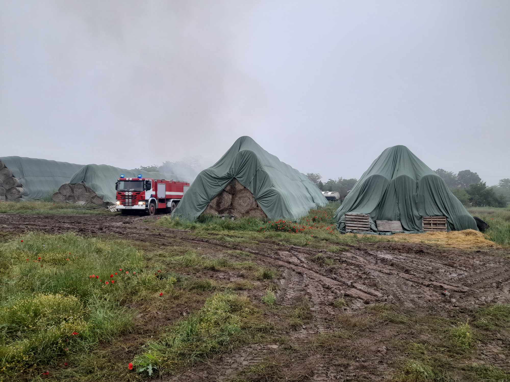 Пазарджишки огнеборци гасиха пожар в открит сеновал с люцерна Сигнал