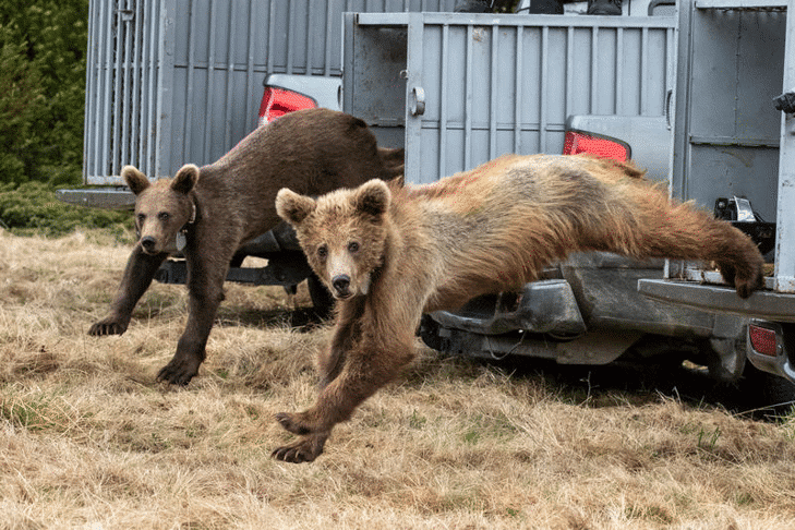 Партньорските усилия на Министерството на околната среда и водите МОСВ