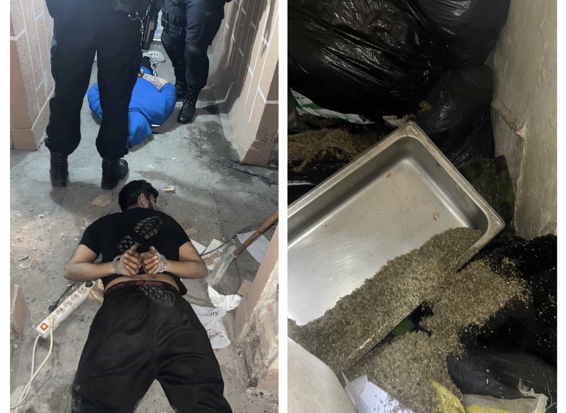 Двама задържани голямо количество обработен и необработен друсан чай и