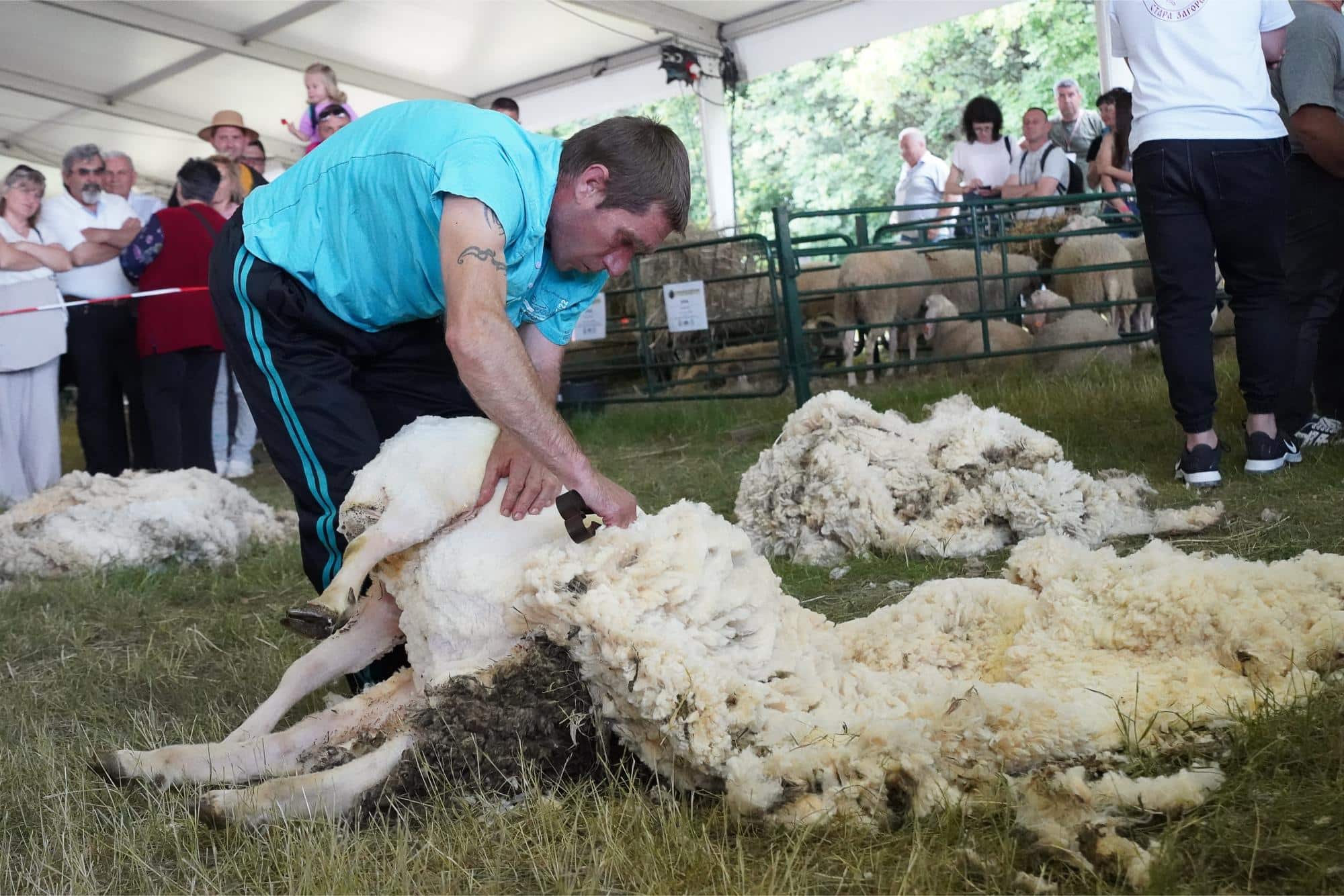 60 продукта от овче и козе мляко се състезаваха на