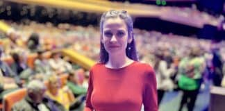 Цвета Галунова