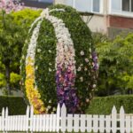 Общинска администрация Ямбол