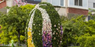 Общинска администрация Ямбол