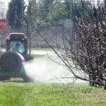 Зимни пръскания