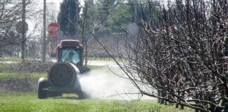 Зимни пръскания