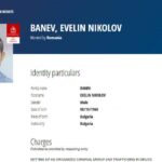 Евелин Банев-Брендо