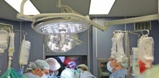 Чернодробна трансплантация