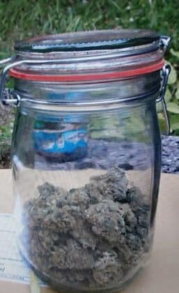 Наркотици, дрога