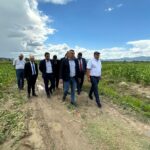 Георги Тахов