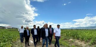 Георги Тахов