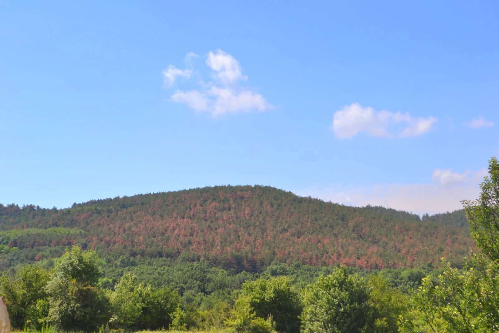 Ще бъдат насочени 94 млн евро за прилагане на интервенции