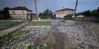 Градушката в село Подвис