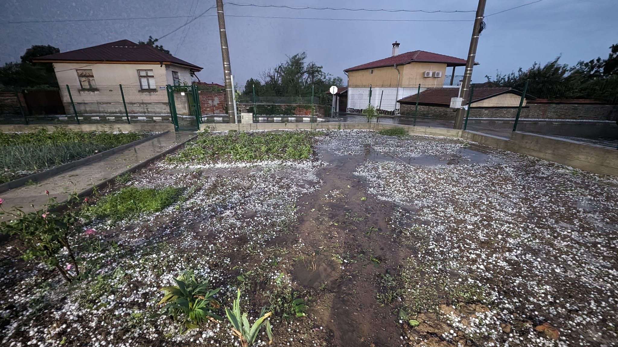 Държавата е осигурила на всички земеделски стопани възможност да застраховат