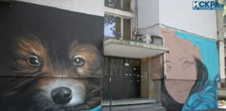 Графити на блок 16 във "Възраждане"