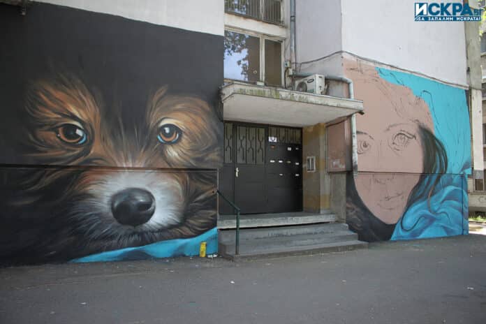 Графити на блок 16 във "Възраждане"