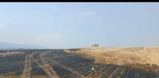 Изпепелени ниви