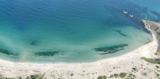 Плаж "Кора:. Снимка: "Да запазим Корал"