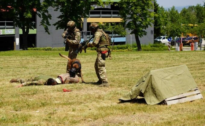 Боен фестивал