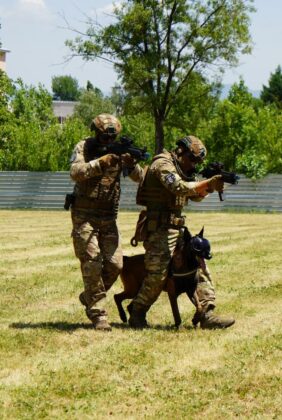 Боен фестивал