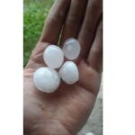 Ледените късове