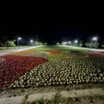 Ново осветление