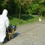 Обработка срещу комари