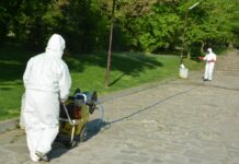 Обработка срещу комари